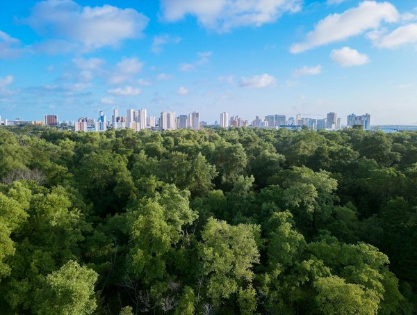 Préparateur en pharmacie : un métier clé du centre de santé
